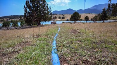 Tarıma yönelik destekleri ile girdi maliyetlerinin altında ezilen çiftçiye destek