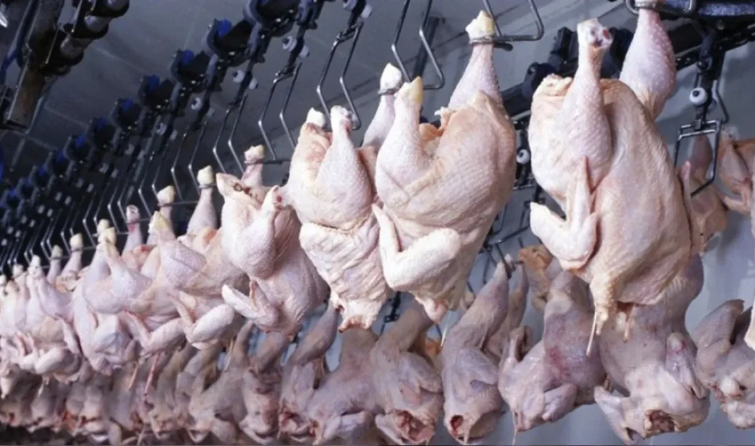 Öte yandan tavuk yumurtası üretimi, haziranda aylık bazda yüzde 0,6,