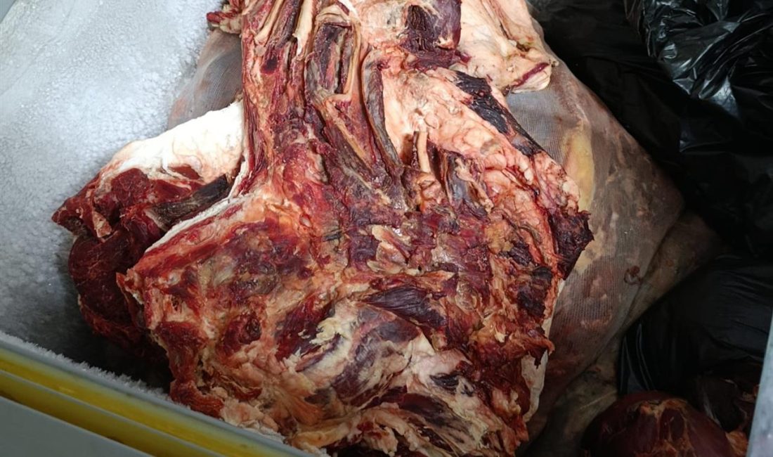 Akdeniz Zabıtası, Bozulmuş Et Ele Geçirdi Akdeniz Belediyesi Zabıta Müdürlüğü ekipleri, halk sağlığını korumak ve gıda