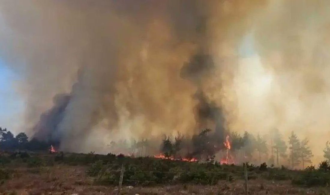 Akdeniz Bölgesi’nde etkili olan orman yangınları yeşil vatanı tehdit etmeye