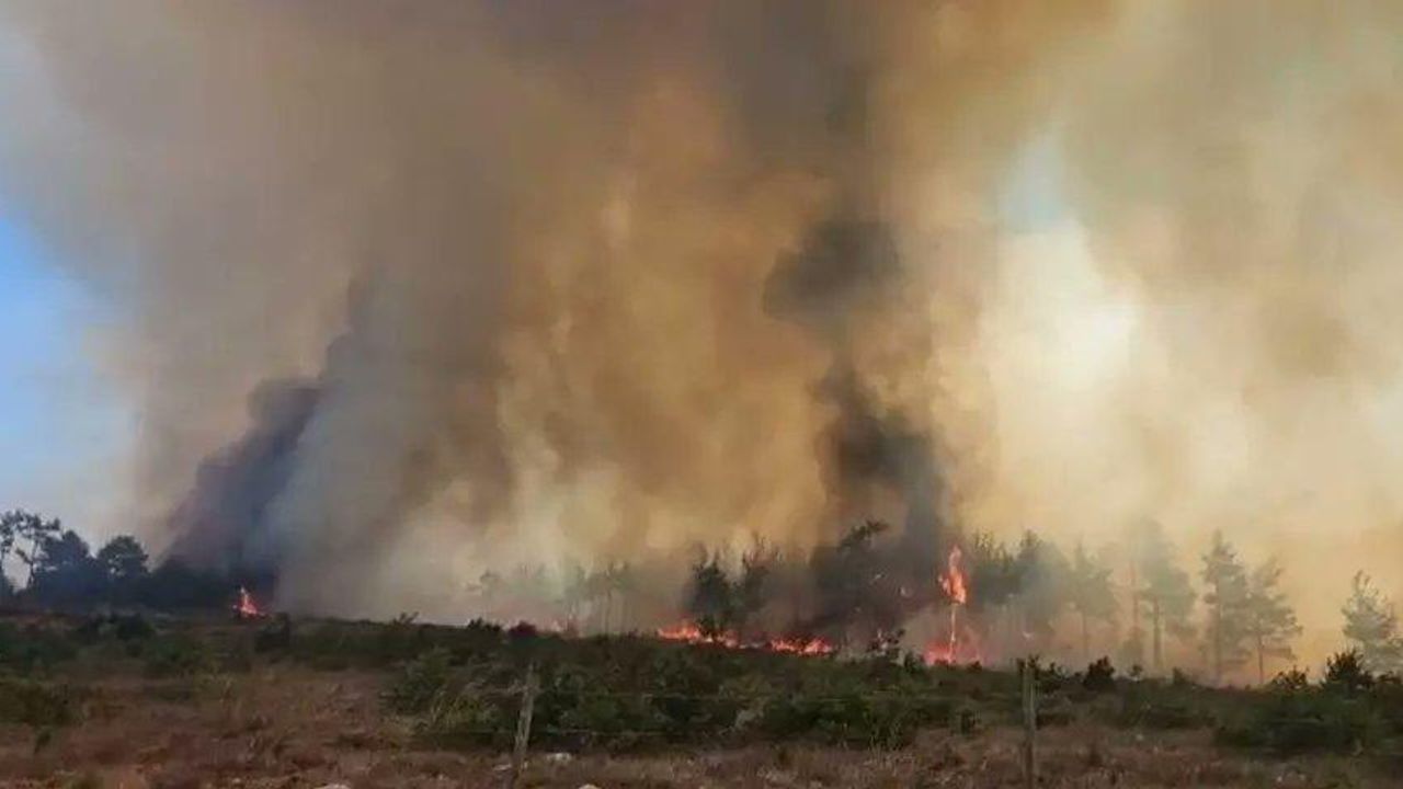Akdeniz Bölgesi’nde etkili olan orman yangınları yeşil vatanı tehdit etmeye