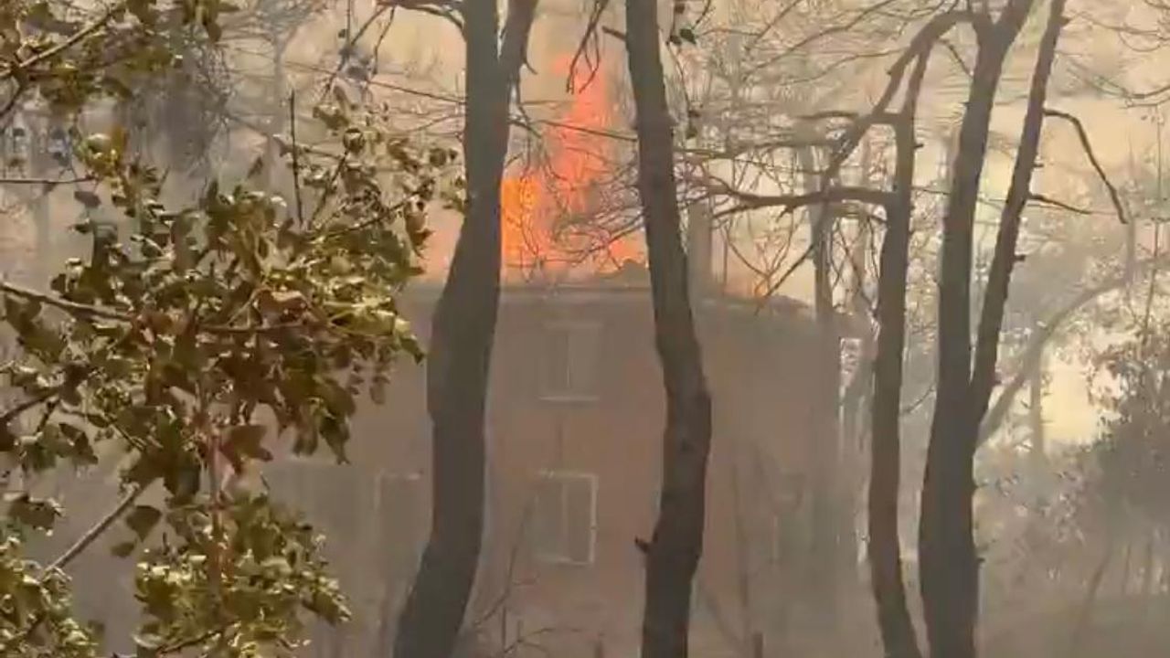 Çanakkale’nin merkez ilçesine bağlı Kepez beldesi Dardanos mevkisindeki ormanlık alanda,