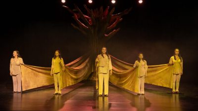 Mersin Büyükşehir Belediyesi Kültür ve Sosyal İşler Dairesi Başkanlığı bünyesinde