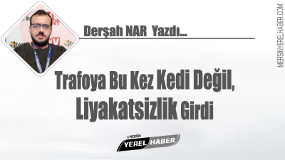 Trafoya Bu Kez Kedi Değil, Liyakatsizlik Girdi. Mersin dün akşam