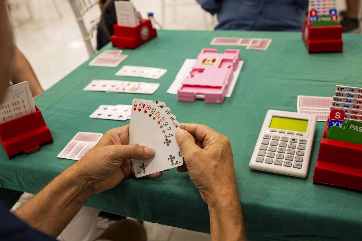 Mersin Büyükşehir Belediyesi’nin, Mersin Briç Spor Kulübü iş birliğinde bu