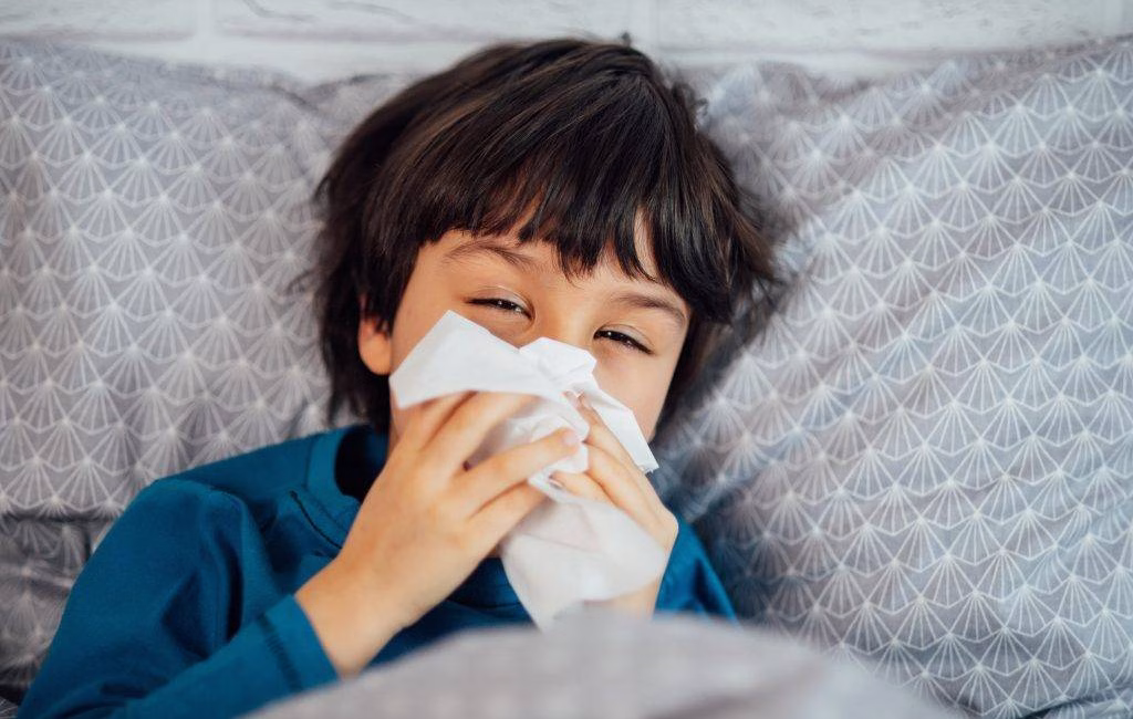 İnfluenza Açısından Risk Grubu Aşılanmalı İnfluenza kapıda! Türk Toraks Derneği Solunum Sistemi Enfeksiyonları Çalışma Grubu