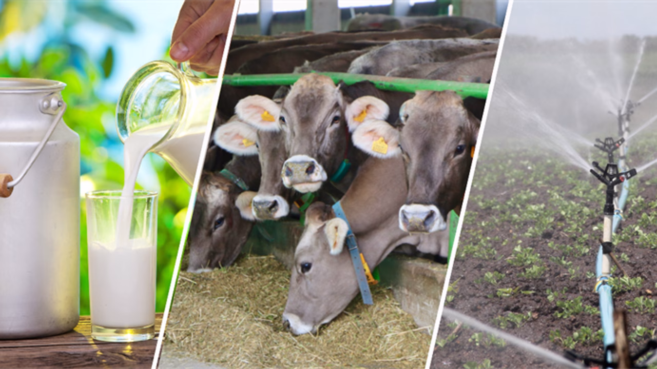 Tarım ve Orman Bakanı Yumaklı, çiftçilere yapılacak tarımsal destekleme ödemelerine