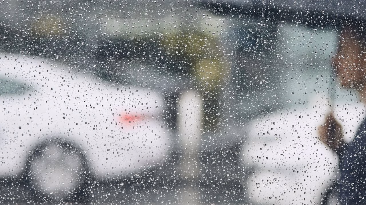 Doğu Karadeniz’de Rize, Trabzon ve Giresun başta olmak üzere bölge