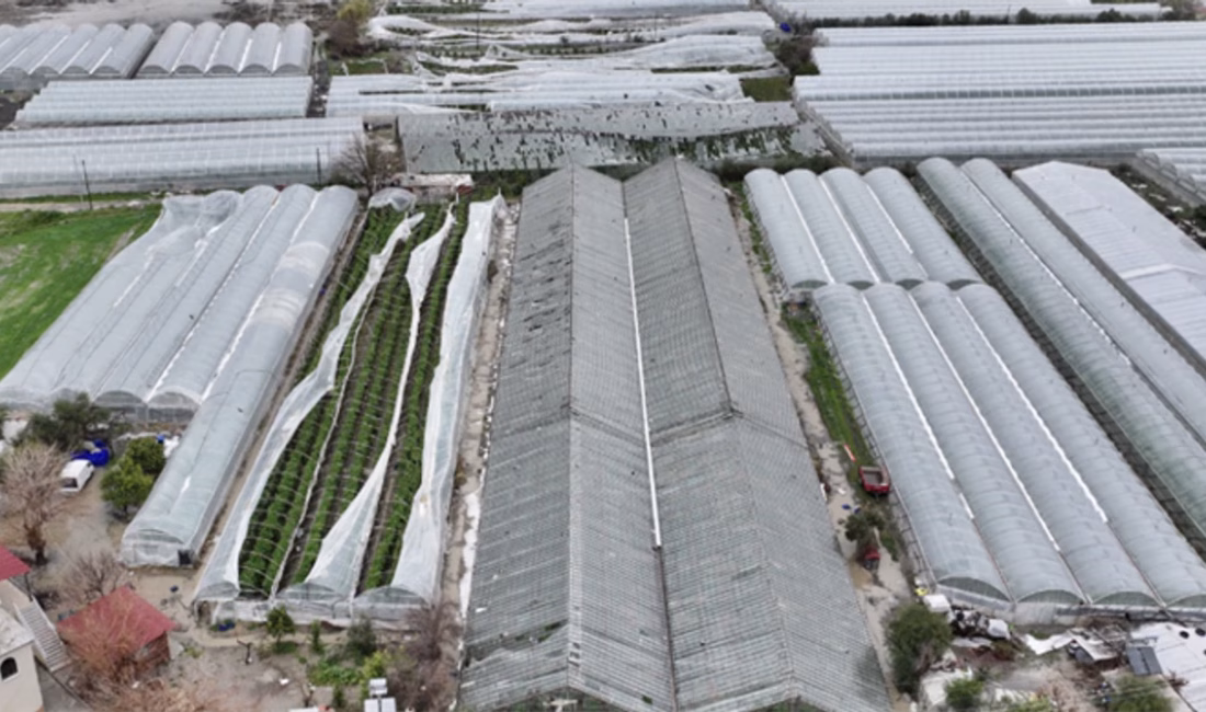 Tarım ve Orman Bakanı İbrahim Yumaklı, Antalya’da etkili olan sel