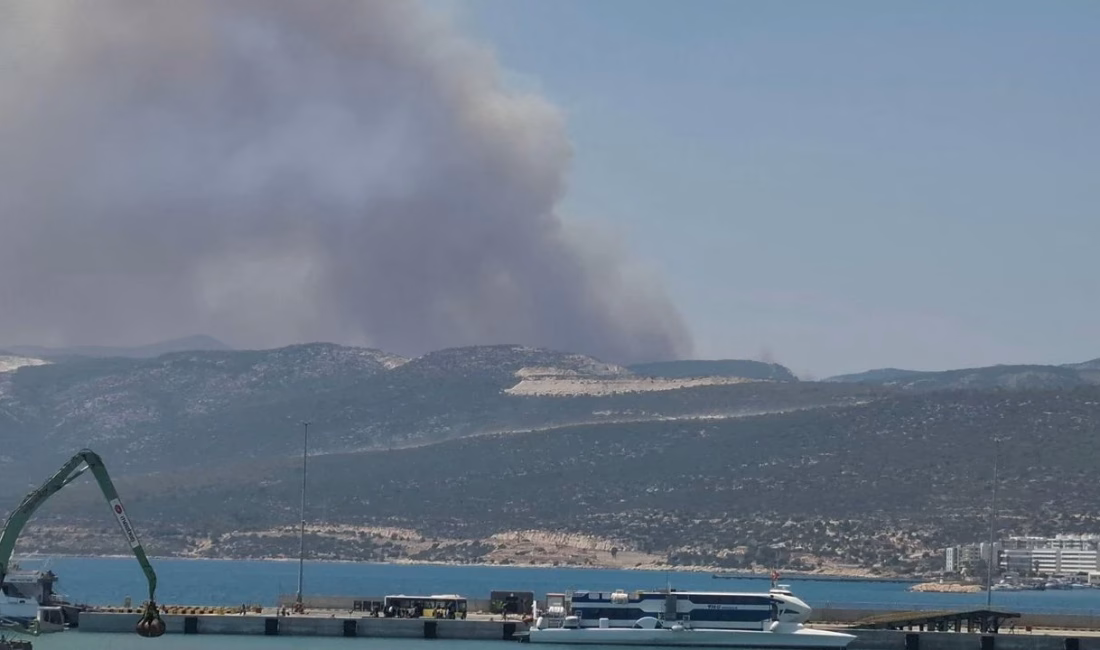 Mersin’in Silifke ilçesi Çamlıca Mahallesi’nde ormanlık alanda çıkan yangına, ekipler