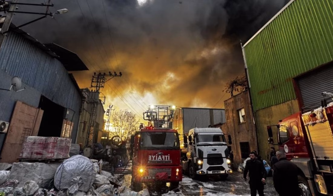 Mersin’in Toroslar ilçesinde bulunan bir geri dönüşüm fabrikasının deposunda çıkan