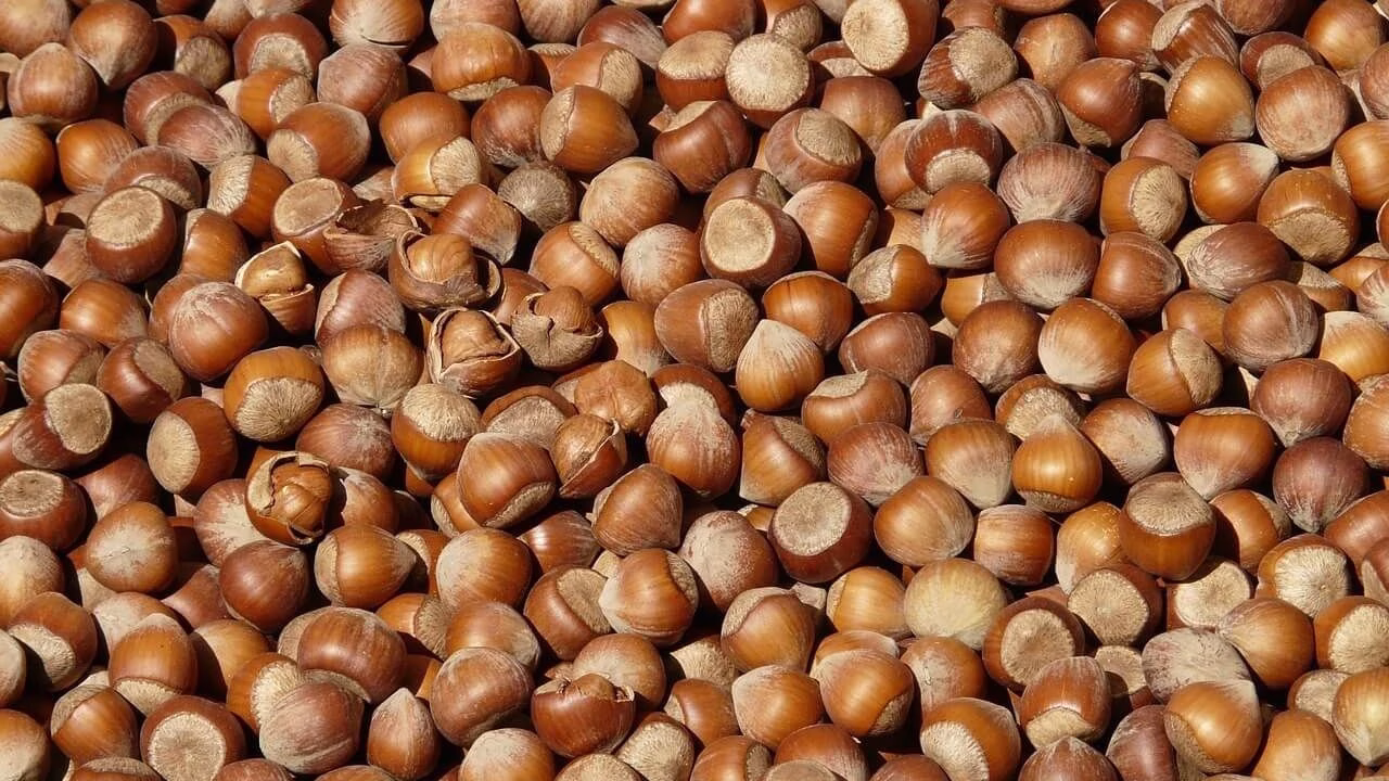 Trabzon, Rize, Artvin ve Gümüşhane’den 2026 yılının ocak ayında toplam