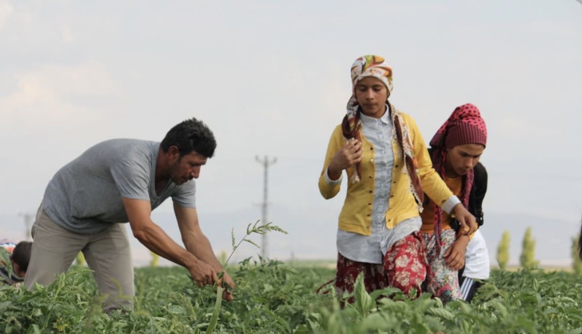 Silifke Tüm Tarım Çalışanları ve Çavuşları Derneği, 2026 yılına ilişkin