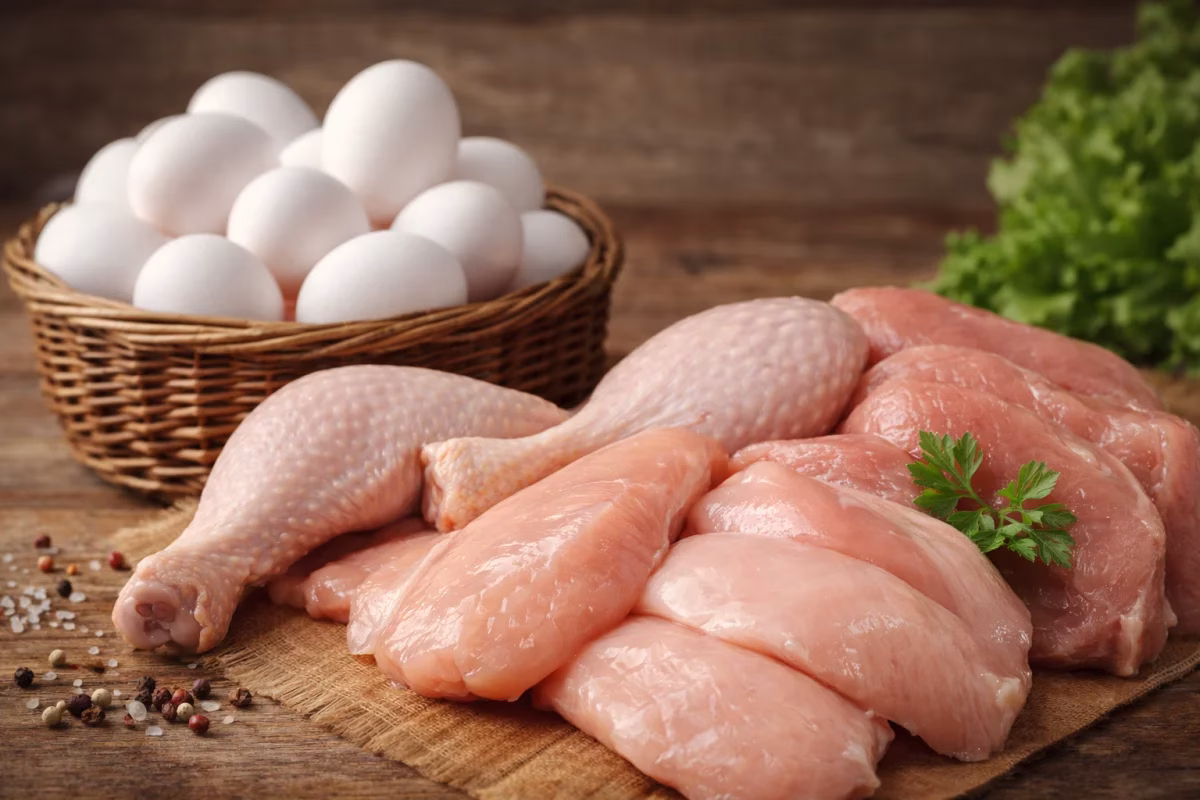 ANKARA – BHA  Verilere göre, ocakta tavuk eti üretimi