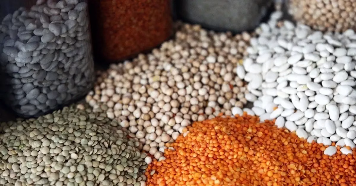 ANKARA-BHA Türkiye İhracatçılar Meclisi (TİM) verilerine göre, ocak-şubat döneminde ihracatta