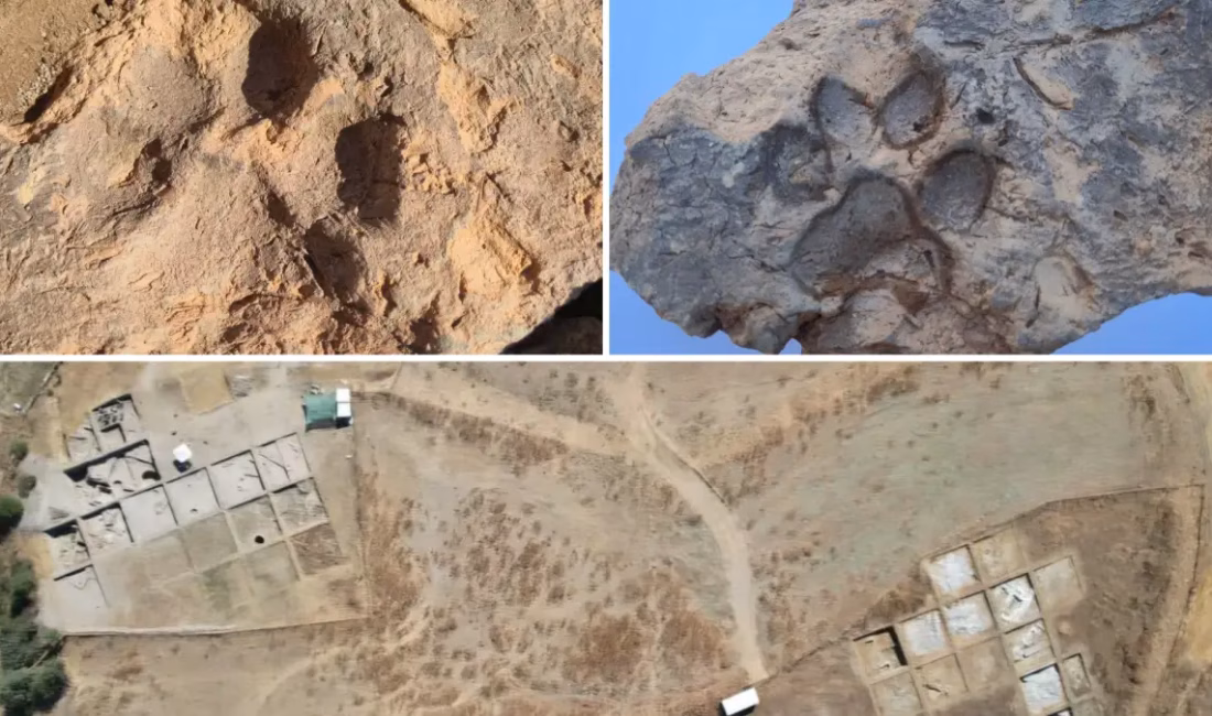 Kültür ve Turizm Bakanı Mehmet Nuri Ersoy, Kütahya’daki Tavşanlı Höyük