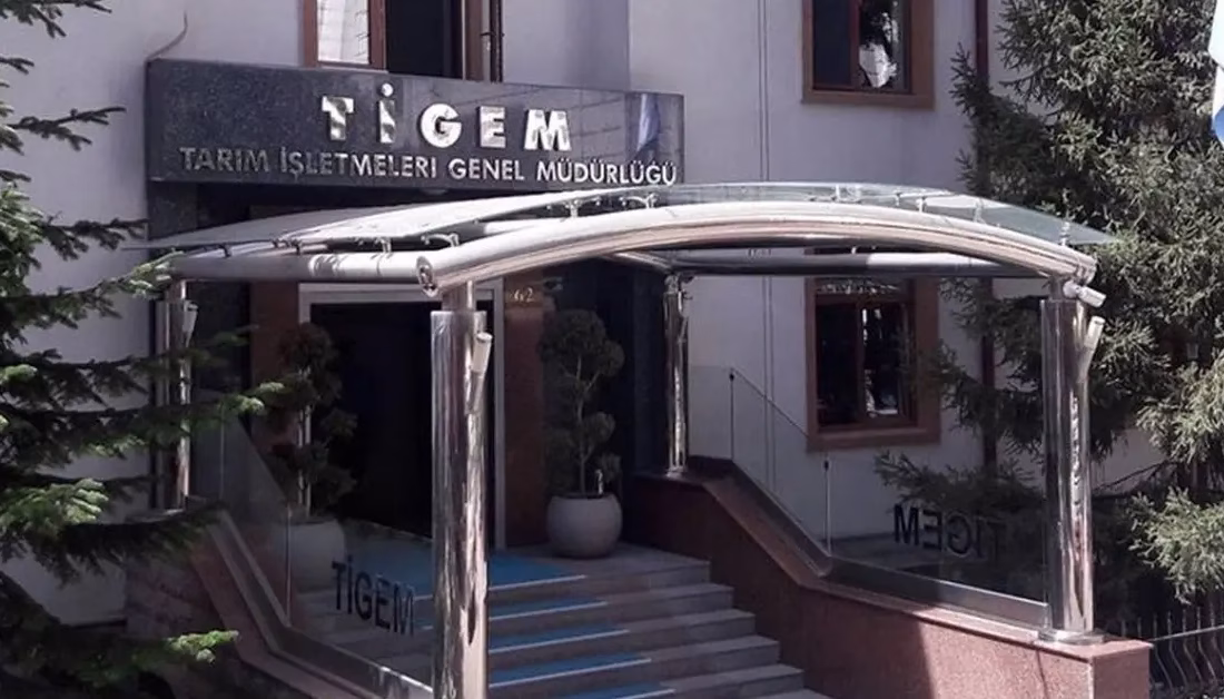 TİGEM 5 ton kozalağı ihaleye çıkarıyor ANKARA-BHA
TİGEM’in ihaleye ilişkin ilanı Resmi Gazete’de yayımlandı. Buna
