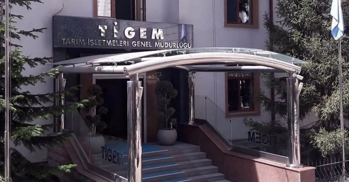 TİGEM 5 ton kozalağı ihaleye çıkarıyor ANKARA-BHA
TİGEM’in ihaleye ilişkin ilanı Resmi Gazete’de yayımlandı. Buna