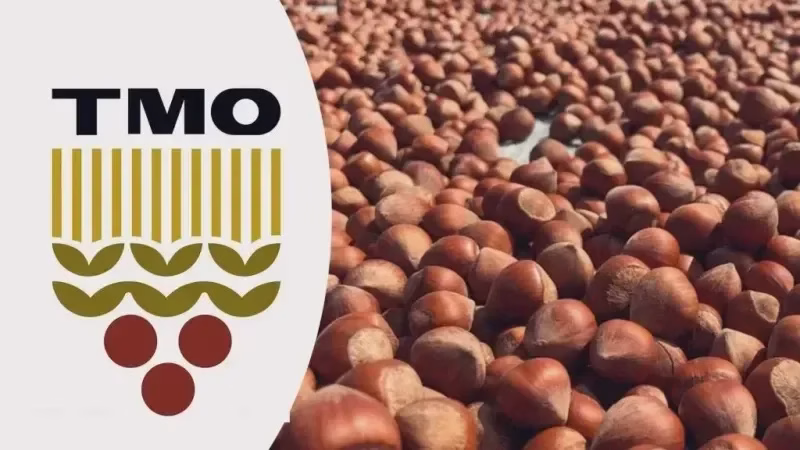 Toprak Mahsulleri Ofisi (TMO), 2026 yılı fındık alımlarında üreticilerden gelen